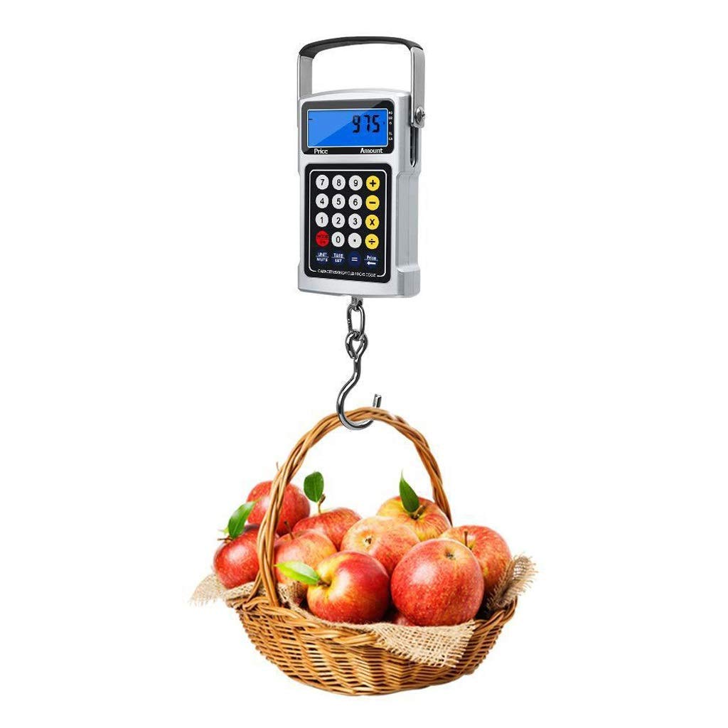 Bilance da cucina, bilance da pesca digitali, bilancia per bagagli LCD retroilluminata da 50 kg/110 libbre con funzione di calcolo del gancio Misuratore di nastro Scala dei prezzi multifunzione