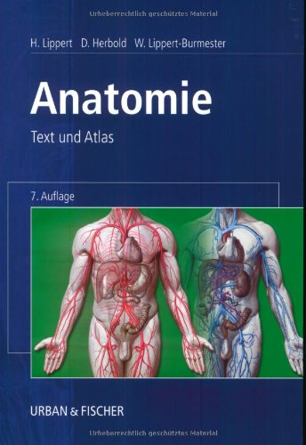 Schädel Anatomie Deutsch Latein Amazon.co.jp: Anatomie. Text und Atlas. Deutsche und lateinische