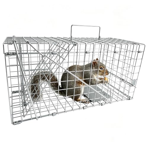 Live Squirrel Trap Foldable Heavy Duty Humane Small Animal Cage Trap Large Rat Trap Cage Catch and Release Chipmunk Rodent Trap That Work for Indoor and Outdoor - 43cm x 20cm x 19cm