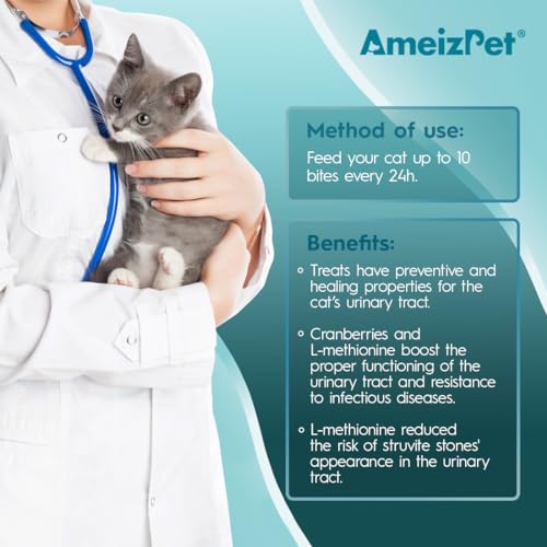 AmeizPet Katzen Leckerlies Harntrakt Für Katze, Harnwegs-Leckerli Für Katzen Für Gesunde Harnwege, Leckerer Snack Für Den Täglichen Genuss Für Alle Katzen, 65 g (2.3 oz)