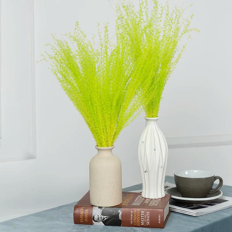 Véritable petite herbe séchée bouquet de mariage plantes naturelles décoration d'intérieur fleurs artificielles séchées Phragmites fleur ornementale