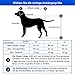 DOGGYHUT® Premium M Hundeanhänger 2-in-1 Hundebuggy & Jogger Fahrradanhänger für Hunde bis 23kg