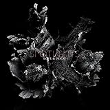  Love & Decay