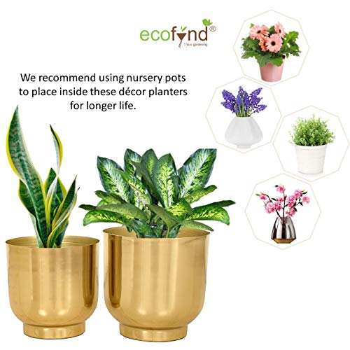 ecofynd 2 Pack Eva Metal Plant Pots (8 inch, 9 inch) | Indoor Planter Flower Pots with Drainage Hole | Home Garden Decor Planter for Living Room Bedroom Interior (Gold Finish)