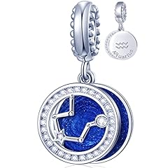 Aquarius (1.20～2.18)