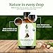 SVA Macadamia Seed Oil Organic - 4 Fl Oz – 100% Natural Cold Pressed Organic Macadamia Oil - for Face, Skin Care, Hair Care, Scalp Massage & Body Massage – Carrier Oil with Dropper