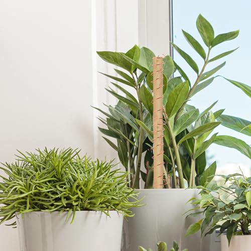 QWORK® Gartendraht, 20 m Garten Kupferdraht, 16 Gauge 99.9% Reiner Kupferdraht, für Gartenarbeit, Pflanzen- und Gemüseanbau