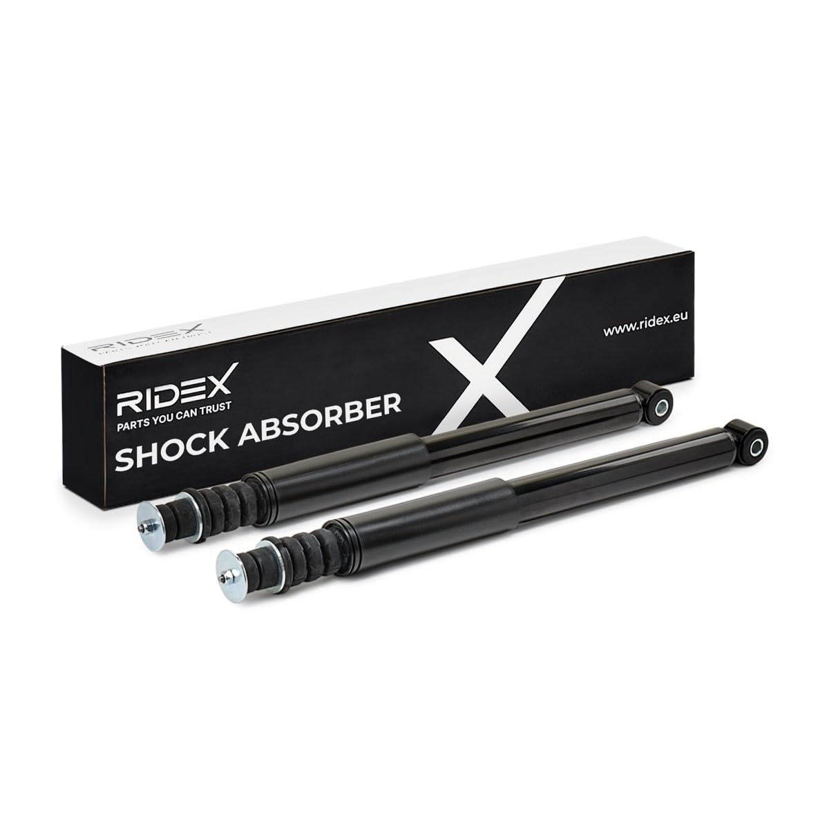 RIDEX 854S0945 2x Ammortizzatore Posteriore Compatibilità con RENAULT Clio III Hatchback BR0/1, CR0/1