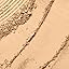 360 Honey III Warm: light tan skin tones with warm yellow undertones