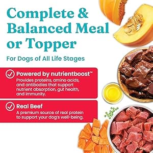   Solid-Gold-Air-Dried-Dog-Food-Toppers-for-Picky-Eaters-Healthy-Dog-Treats-Made-with-Real-Beef-to-Serve-as-Meal-Topper-or-Dog-Treat-Supports-Muscle-Growth-Immunity-and-Healthy-Digestion-2-LB