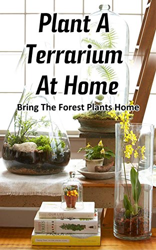 Plant a Terrarium at Home: Bring the Forest Plants Home (English Edition)
