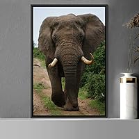 Framed Canvas Wall Art Elephants Animals Dramatic Elephants Farmhouse/Country Living Room Multicolor Photography - 16x24 inches