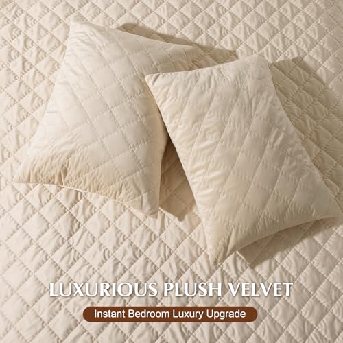 50% Off Luxury Velvet Quilt Set Queen Size 3 Piece - Image 8