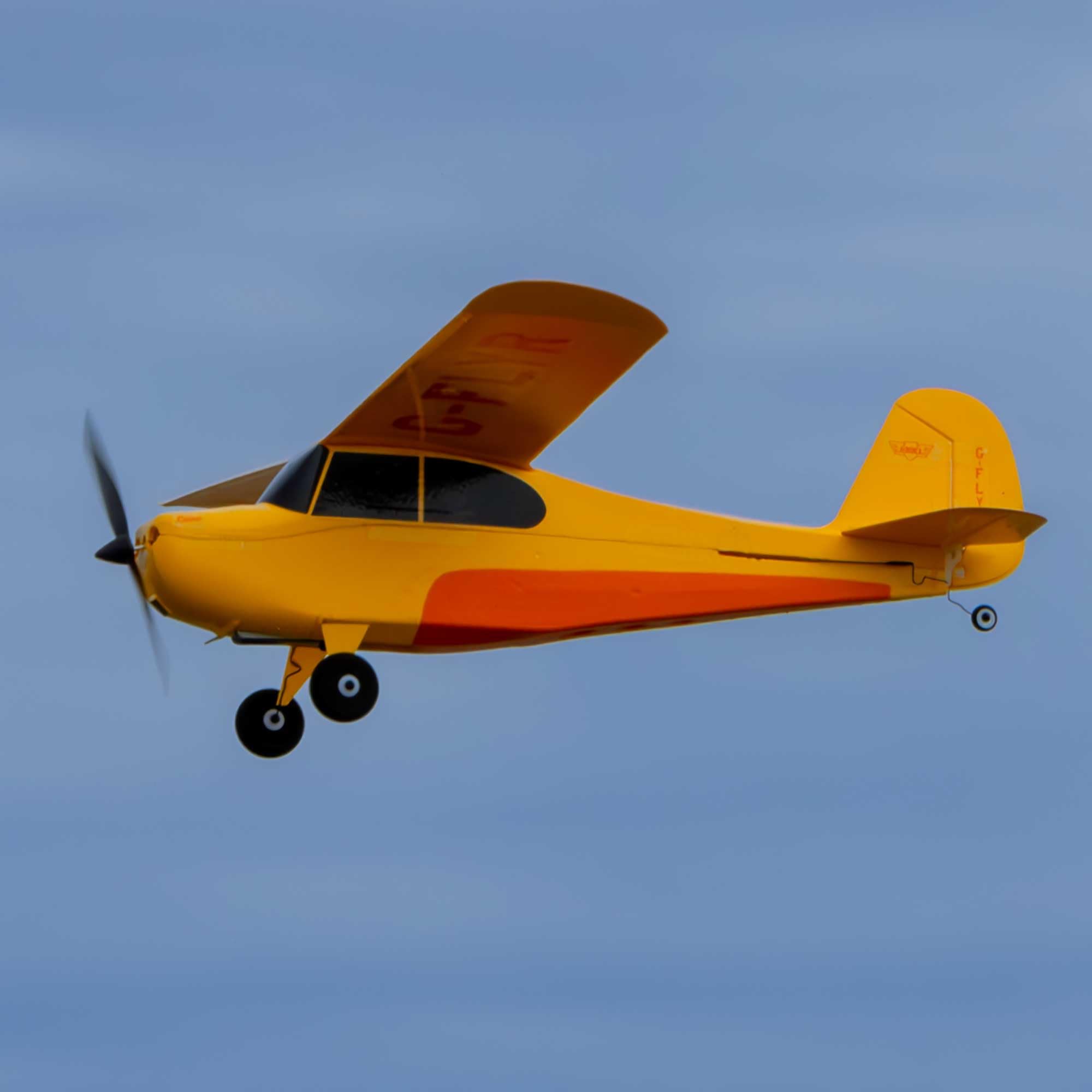 HobbyZone Champ Anniversary Special Edition 515 mm - BNF Basic mit Safe-Technologie - 15 Jahre Champ / 25 Jahre HobbyZone / 40 Jahre Horizon Hobby - EPS‑Microtrainer (ohne Fernsteuerung & Akku)