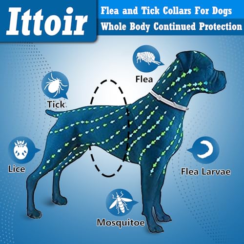 Flea Collar for Dogs, 2 Pack Flea and Tick Collar for Dogs, Dog Flea Collar Offers Long Flea and Tick Prevention, Waterproof Dog Flea and Tick Collar, Adjustable, One Size Fits All Dogs Puppies, Blue Flea Collar for Dogs, 2 Pack Flea and Tick Collar for Dogs, Dog Flea Collar Offers Long Flea and Tick Prevention, Waterproof Dog Flea and Tick Collar, Adjustable, One Size Fits All Dogs Puppies, Blue