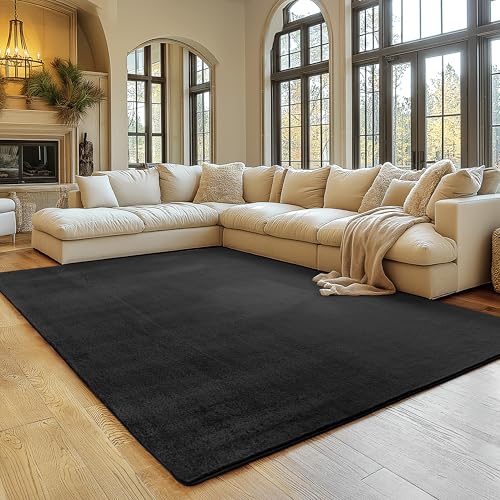 SIMPEX Tapis Noir 200x280 cm Tapis à Poils Courts Lavable, Doucement Antidérapant et Design Monochrome Moderne pour Salon, Chambre, Cuisine et Chambre d'enfant