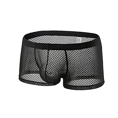 Ctreela Sexy Lingerie for Men Mesh See-Through Boxer Brief Fishnet Underwear Booty Shorts Solid Dual Pouch Underpants