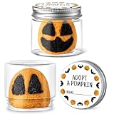 CNhoqc 2pcs Halloween Adopt a Pumpkin in a Jar Set, Mini Pumpkin Halloween Adoption with Name Tag Sticker, Cute Handcrafted Felting Jack-O-Lantern Pumpkin for Halloween Party Favor Supplies