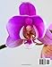 Orchids: Exploring The Enchanting World Of Orchids - Coffee Table Picture Book or Perfect Gift for Seniors with Alzheimer's or Dementia....Relaxing & Meditation.