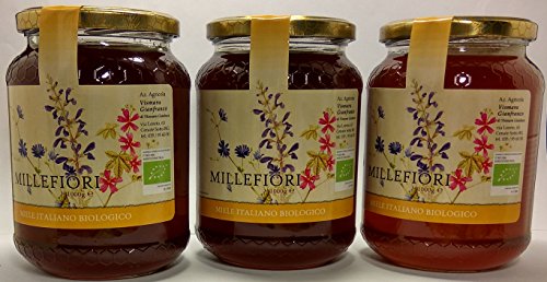 Preisvergleich Produktbild Bio Italienischer Honig 3 Tausenblumen 1000 g