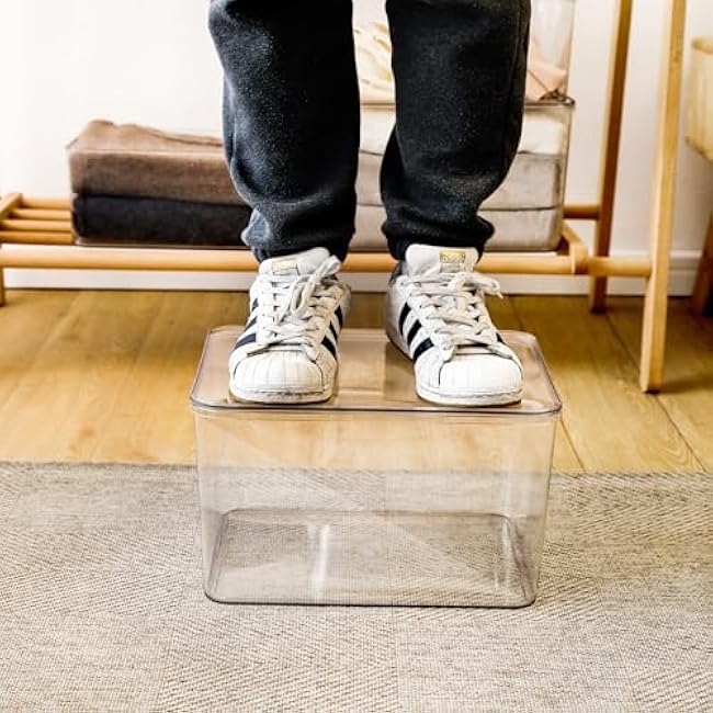 4-Piece Set,Plastic Storage Bin with Lid,Large Storage Containers,Stackable Lidded Storage Boxes for Cabinets, Clothes, Toys, Books (clear 4XL)