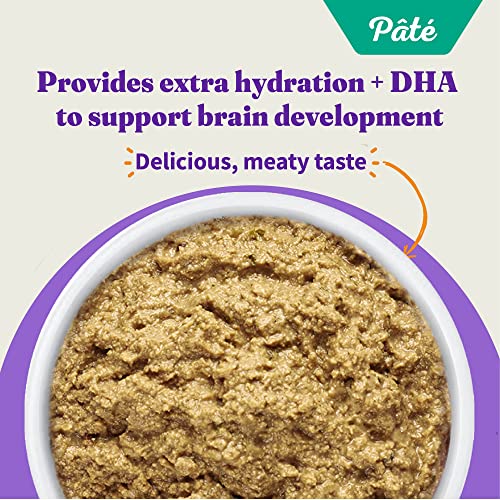 Halo Kitten Grain Free Wet Cat Food Pate, Chicken Recipe, Healthy Cat Food With Real, Whole Chicken , 3Oz Can (Pack Of 12) #TOP4