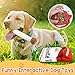 Luyuttn 3Pcs Giggle Zigaretten-Hundespielzeug, quietschendes Hundespielzeug, Lustiges Interaktives Plüsch mit Einer Box, Interaktives Spielzeug für kleine, mittelgroße und große Hunde