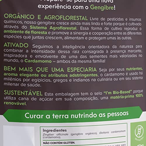 Gengibre e Cardamomo Ativado Da Floresta, Viva Regenera 60g em Pó