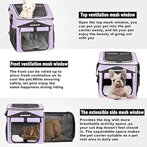 BARKBAY-Dog-Bike-Basket-Carrier-Expandable-Foldable-Soft-Sided-Dog-Carrier-2-Open-Doors-5-Reflective-Tapes-Pet-Travel-BagDog-Backpack-Carrier-Safe-and-Easy-for-Small-Medium-Cats-and-DogsPurple - Cucciolini Doodles   BARKBAY-Dog-Bike-Basket-Carrier-Expandable-Foldable-Soft-Sided-Dog-Carrier-2-Open-Doors-5-Reflective-Tapes-Pet-Travel-BagDog-Backpack-Carrier-Safe-and-Easy-for-Small-Medium-Cats-and-DogsPurple