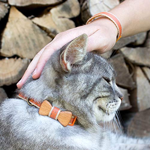 comfortable cat collar