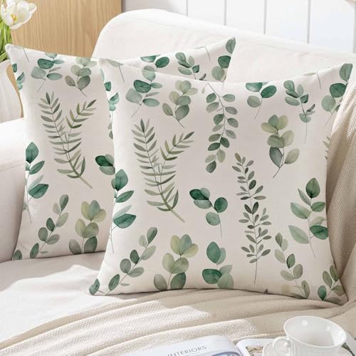 ViaElayu Housse de Coussin de Printemps 40x40 Motif Eucalyptus pour Canapé D'extérieur Taie Oreiller Coussin Decoratif Canape à Feuilles Vertes Aquarelle Décoration...