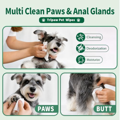 Image of 100 Count Pet Wipes, Plant-Based Hypoallergenic Pet Cleaning Wipes