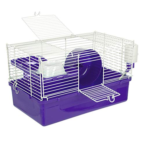 Best Hamster Cages Best Cost