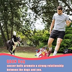   Chicken-Dog-Toys-Soccer-Ball-with-Straps-Interactive-Toys-for-Tug-of-War-Puppy-Birthday-Gifts-Dog-Water-Toy-Durable-Balls-for-Dogs8-Inch