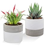 Brief Succulent Pots, 5 inch Diameter, 2 Pack Modern Cement Cactus Flower Aloe Snake Plant Planter Container with Drainage Hole, White (P013)