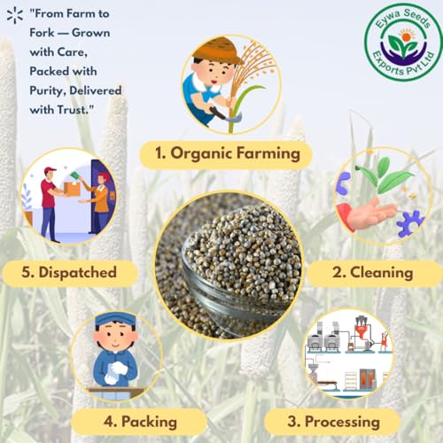 Image of Eywa Seeds Organic Bajra Flour (10 Kg) For Eating And Cooking|Pearl Millet Grains|Produce Of India From Organic Farms