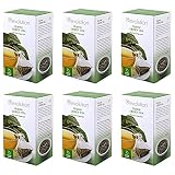Revolution Tea - Mesh Infuser Full Leaf Tea - Organic Green Tea - 16 Bags - 6 Pack