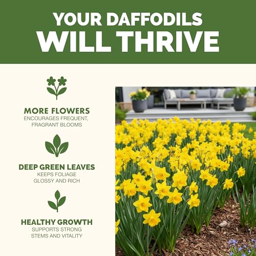 Fertilizante Líquido para Plantas Daffodil 8 oz miniatura 2