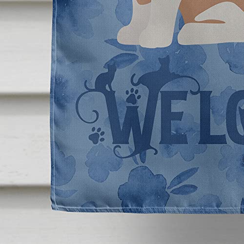 Drapeau chat Snowshoe grand format résistant aux intempéries pour entrée extérieure