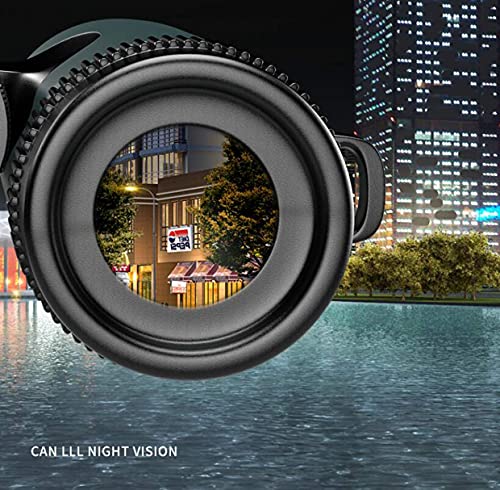 Binocolo Vortex 8-10x42, telescopio binocolo