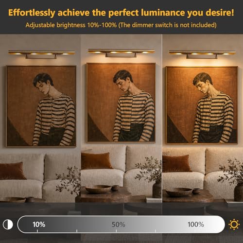 Image of 30 inch Picture Light for Wall, Hardwired Bronze Picture Light Art Light Non-Battery 270 Dimmable Vintage Picture Lights for Museum Library Display, Gold Gallery Art Light