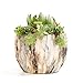 SE SUN-E Sun-E Modern Style Marbling Ceramic Flower Pot Succulent/Cactus Planter Pots Container Bonsai Planters with Hole 3.35 Inch Gift Idea(4 in Set) Plants Not Included