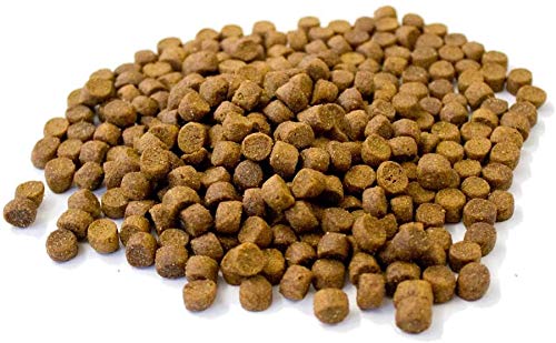 Dry Hedgehog Dinner 1 Litre