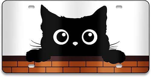 Miniatura 17 de Cubierta de placa de matrícula delantera - Placa de matrícula con bandera estadounidense y águila, placas de matrícula decorativas de aluminio,