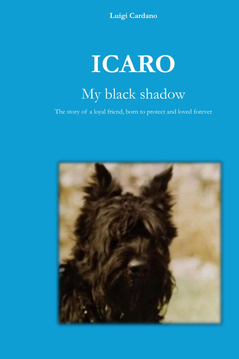 ICARO My black shadow: The story of a loyal friend, born to protect and loved forever