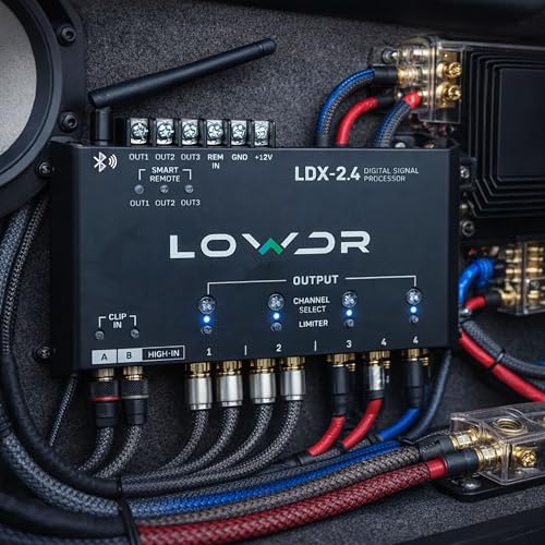 LOWDR LDX 2.4 DSP
