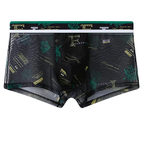 Letuwj Ultra-thin Printed Ice Silk Men's Underwear Boxer Briefs Summer - Main Image