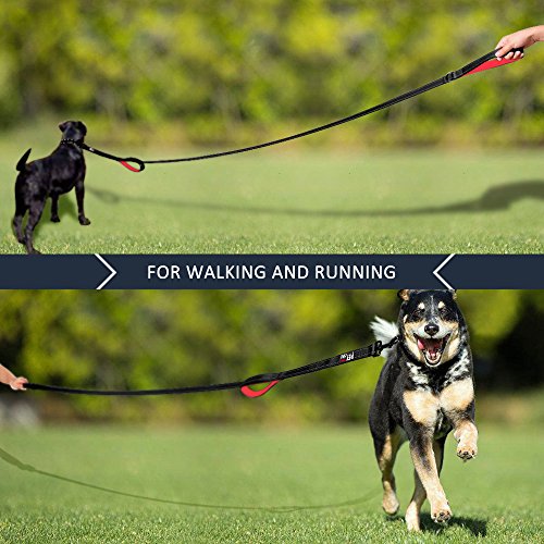 Image of Plutus Pet Double Handle Dog Leash, 6 FT Long, for Medium Large Dogs