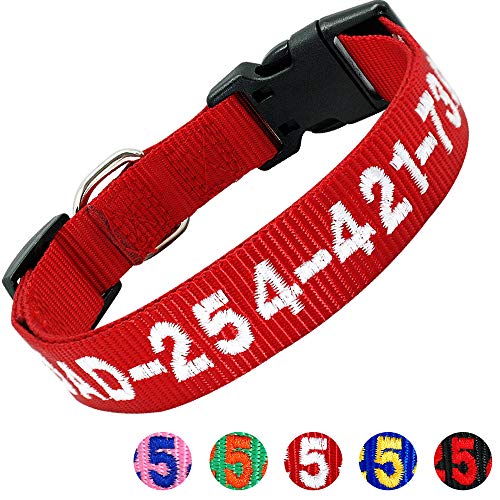 qualtry dog collar