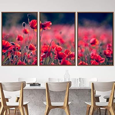 signwin 3 Piece Framed Canvas Wall Art Colorful...